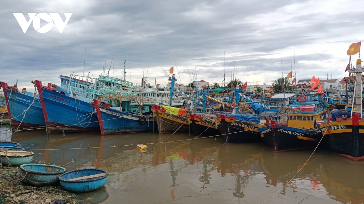Đã tìm thấy thi thể ngư dân sau 10 ngày mất tích trên biển Bình Thuận